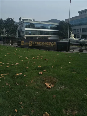 正大青春寶藥業(yè)有限公司