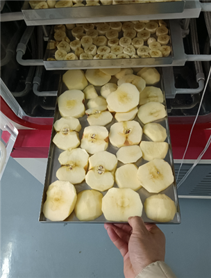 永合創(chuàng)信實(shí)驗(yàn)室凍干機(jī)應(yīng)用于食品凍干科研開(kāi)發(fā)!