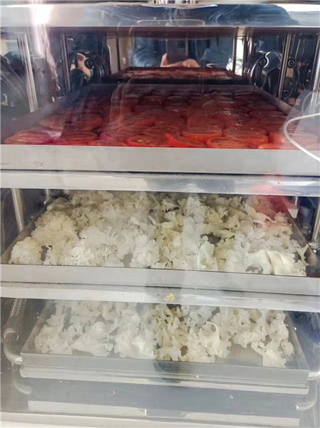 使用真空凍干機(jī)前需對物料進(jìn)行預(yù)凍