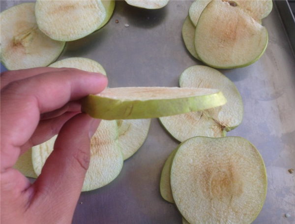 淺述制藥凍干機(jī)的各組成結(jié)構(gòu)起到的作用