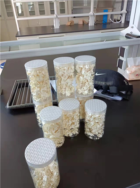 揭秘：低溫冷凍干燥機(jī)如此受歡迎的原因