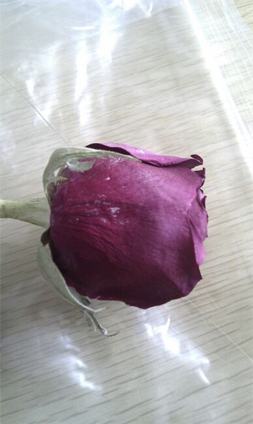 低溫冷凍干燥機(jī)使用前如何檢查、使用后如何保養(yǎng)