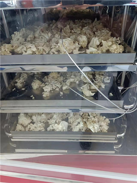 多了解一些，才能更好地運(yùn)用國(guó)產(chǎn)真空冷凍干燥機(jī)