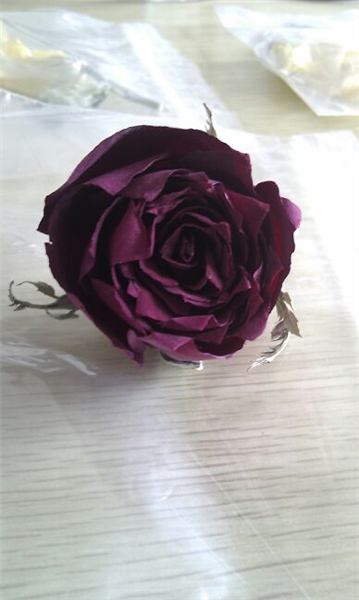 化妝品凍干機的設計與優(yōu)化：提升生產的能效比