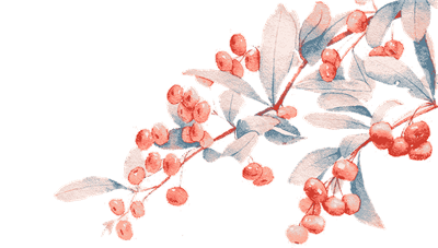 醫(yī)用等離子體空氣消毒機(jī)vs紫外線消毒機(jī)有哪些優(yōu)勢