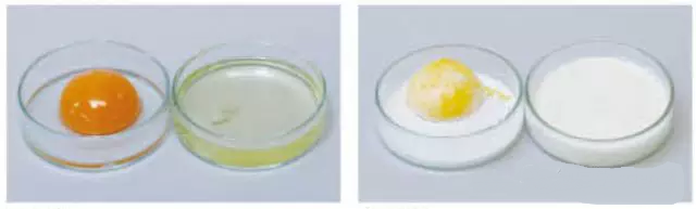 461450747843239690.png 461450747843239690.png