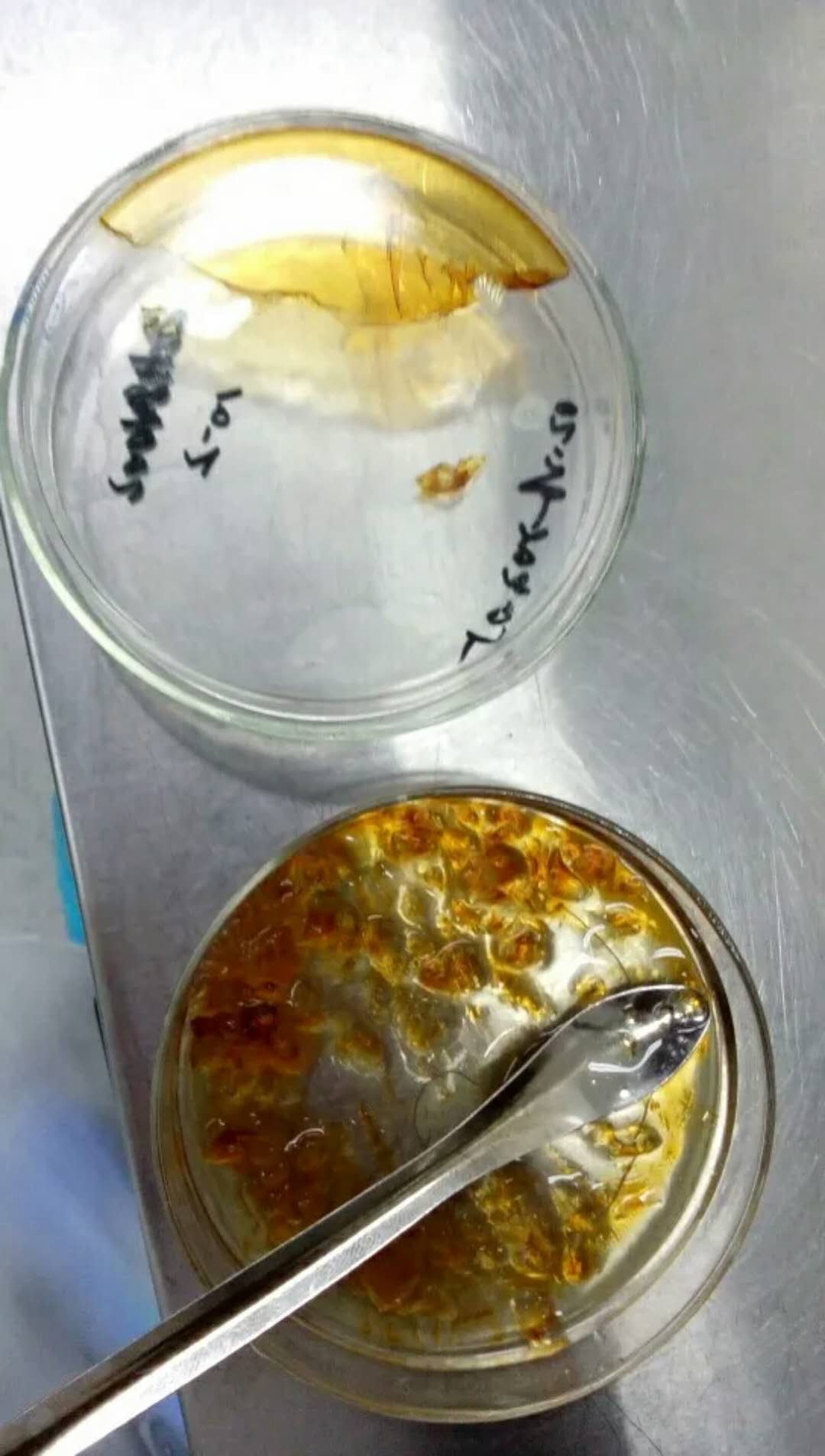 561409068088670293.jpg 561409068088670293.jpg