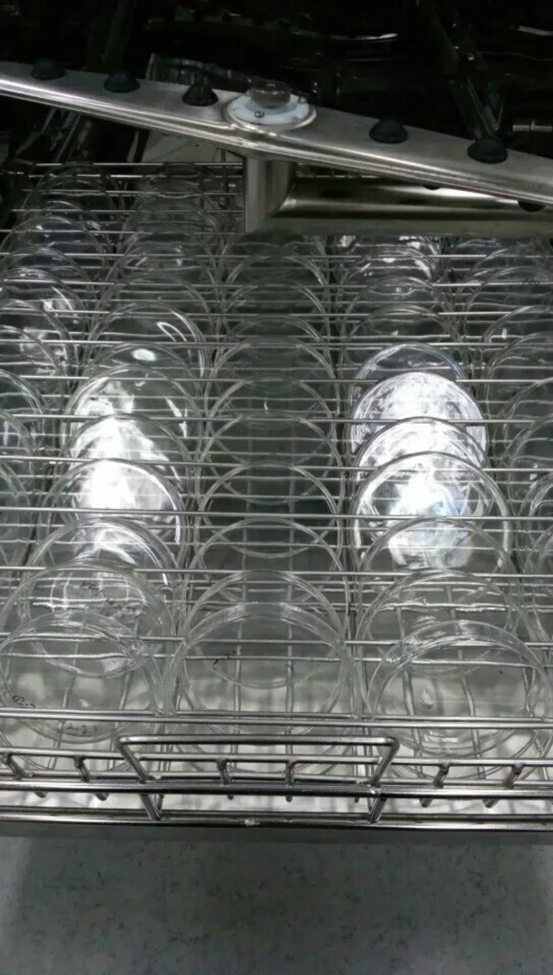 806885304815251544.jpg 806885304815251544.jpg