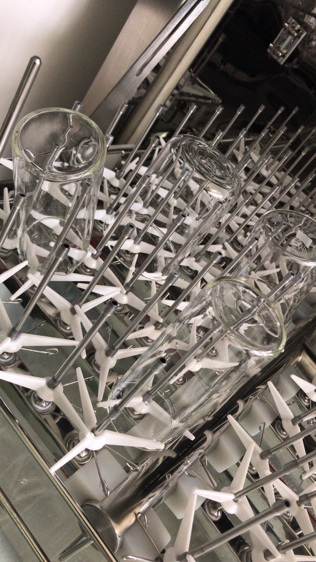 896452424604904845.jpg 896452424604904845.jpg