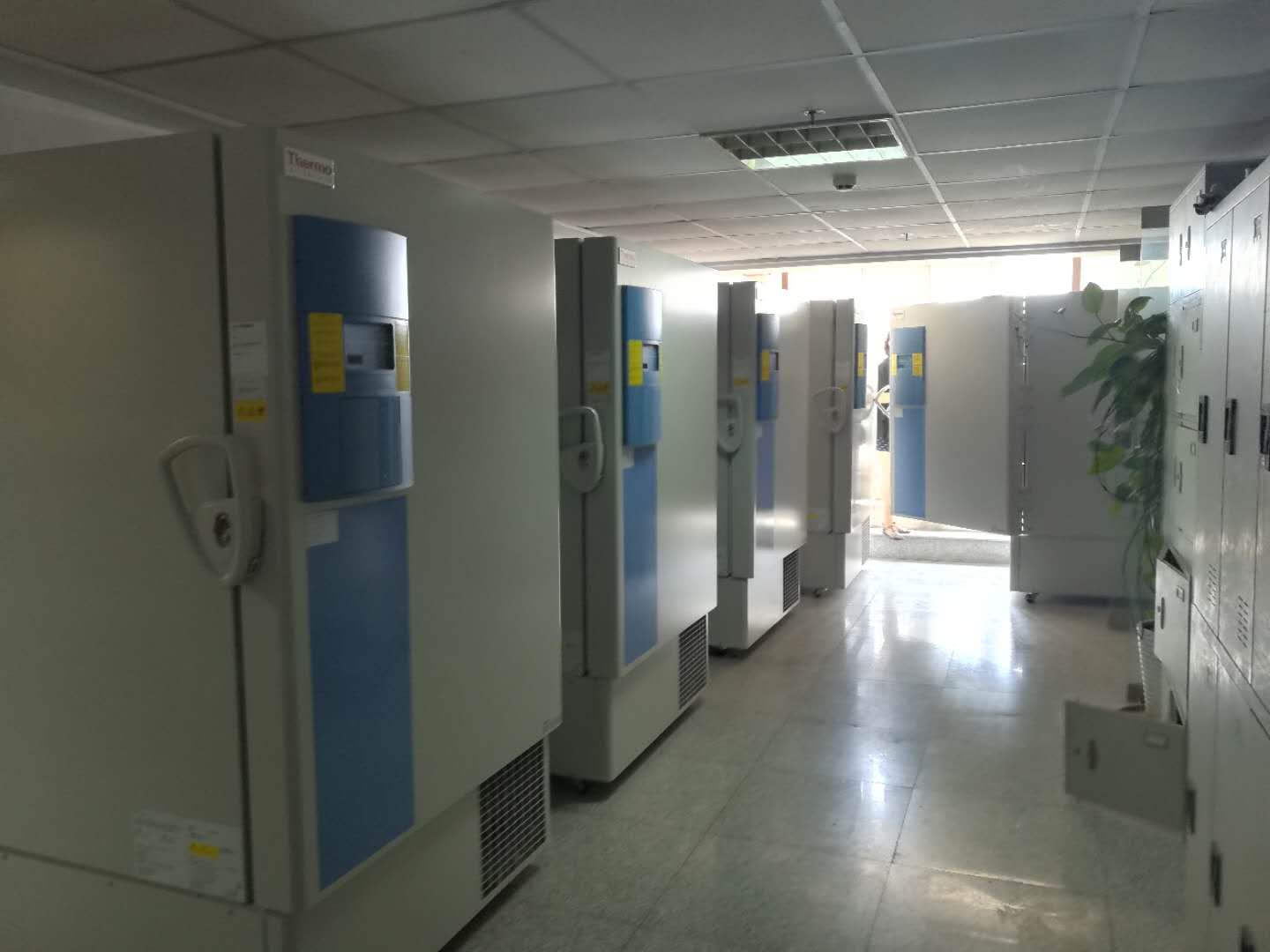 422976095421287333.jpg 422976095421287333.jpg