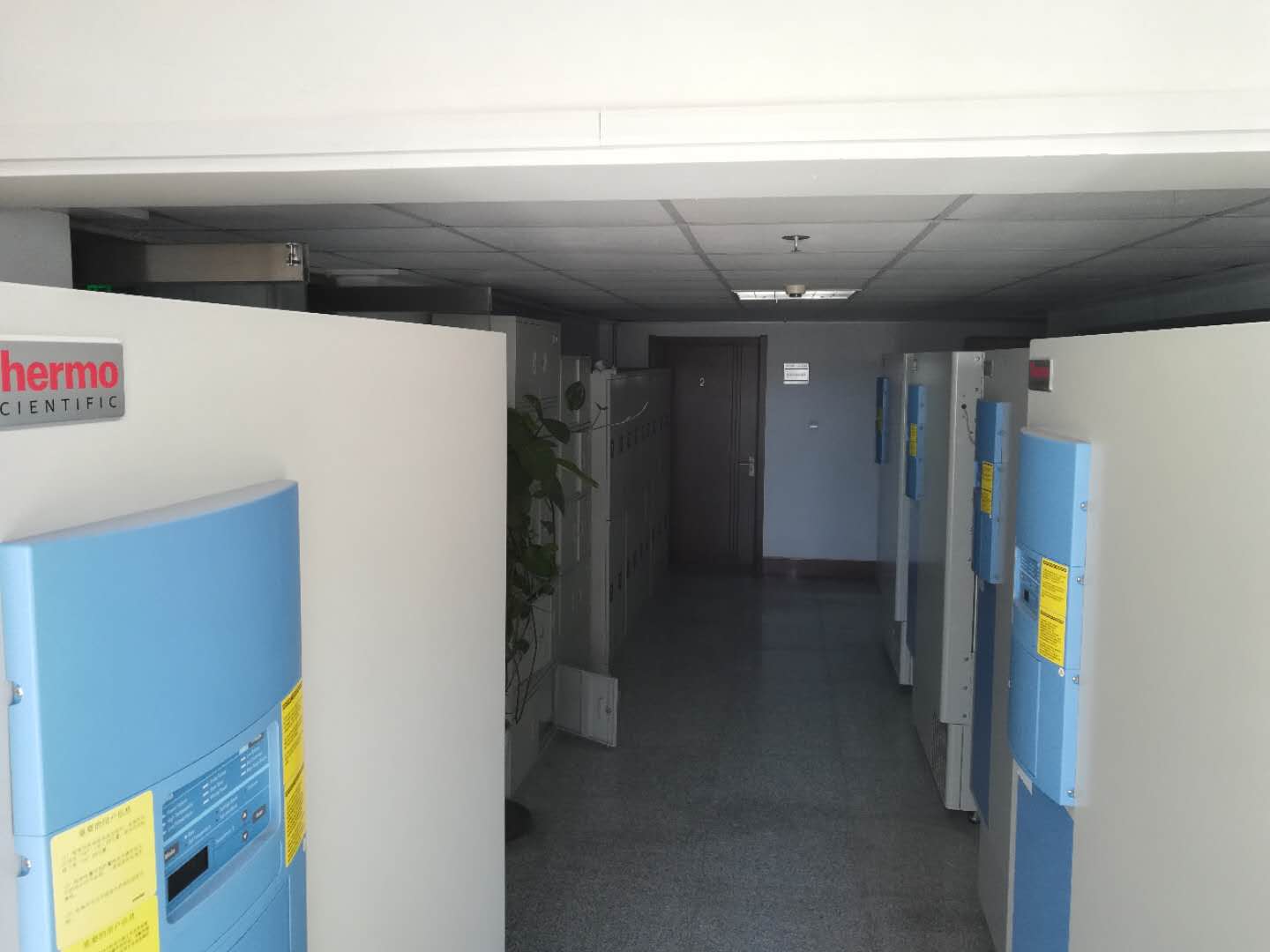 895607645381272244.jpg 895607645381272244.jpg