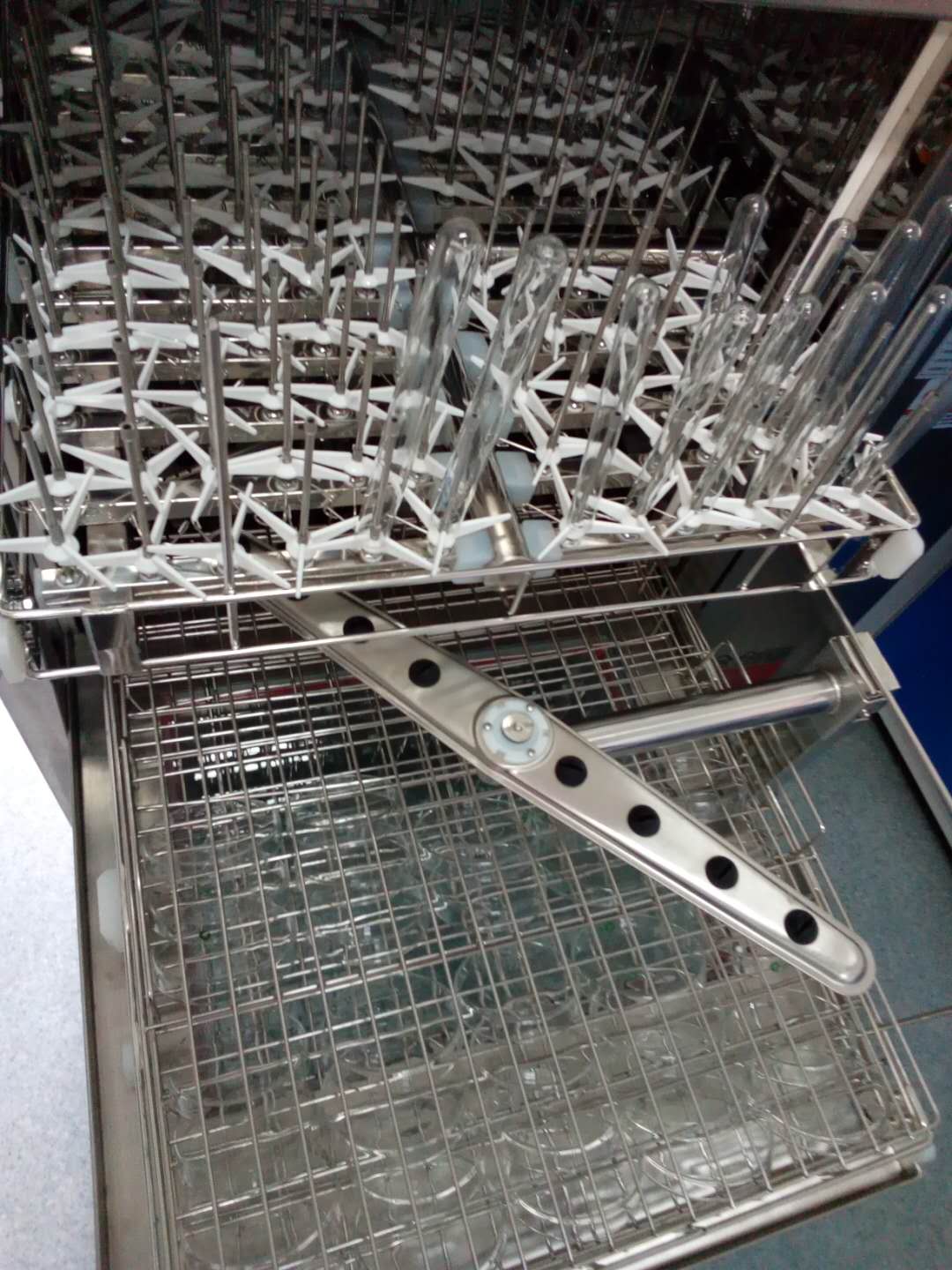 9032741074661373.jpg 9032741074661373.jpg