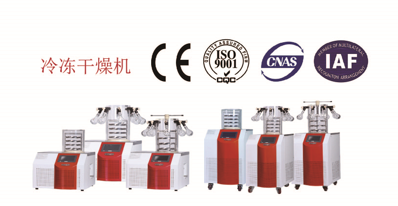 背面.png 背面.png