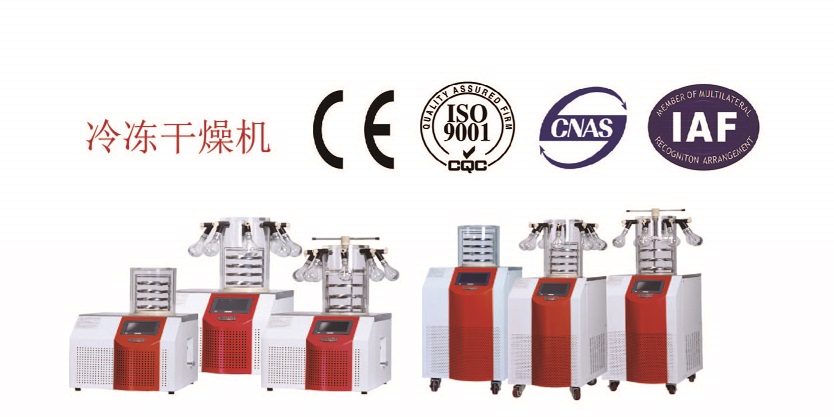 背面.jpg 背面.jpg